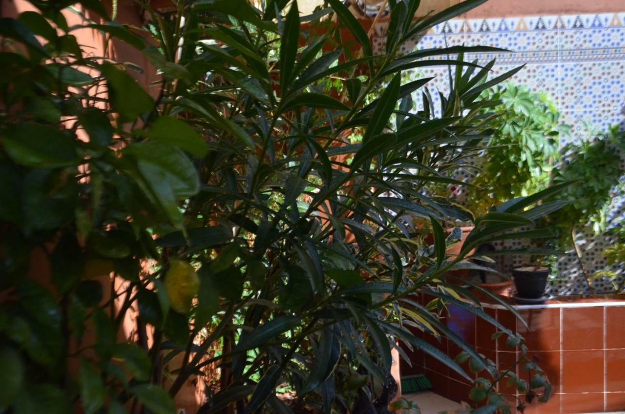 Ryad Ayad Marrakesh Esterno foto