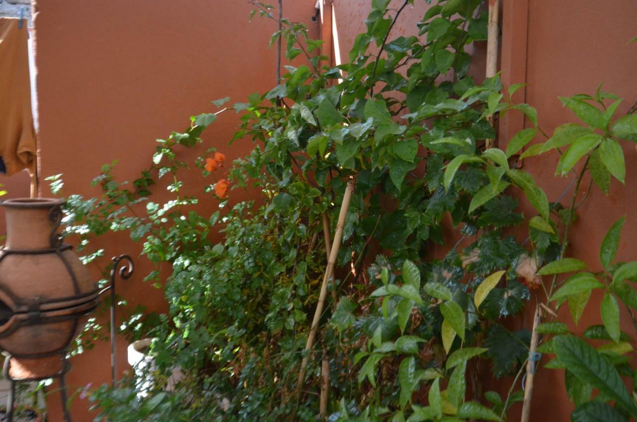 Ryad Ayad Marrakesh Esterno foto
